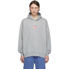 Polo Ralph Lauren Grey Shield Hoodie