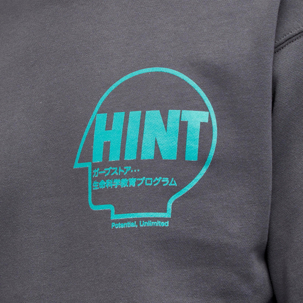 Garbstore Men's Hint Sweatshirt in Charcole
