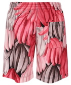 MSGM Cotton Bermuda Shorts