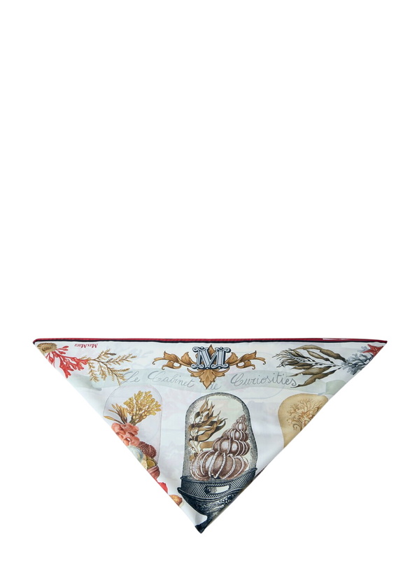 Photo: Max Mara Printed Silk Scarf