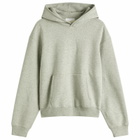 Lady White Co. Men's Mini Hoodie in Heather Grey