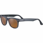 Serengeti Eyewear Foyt Largess550004