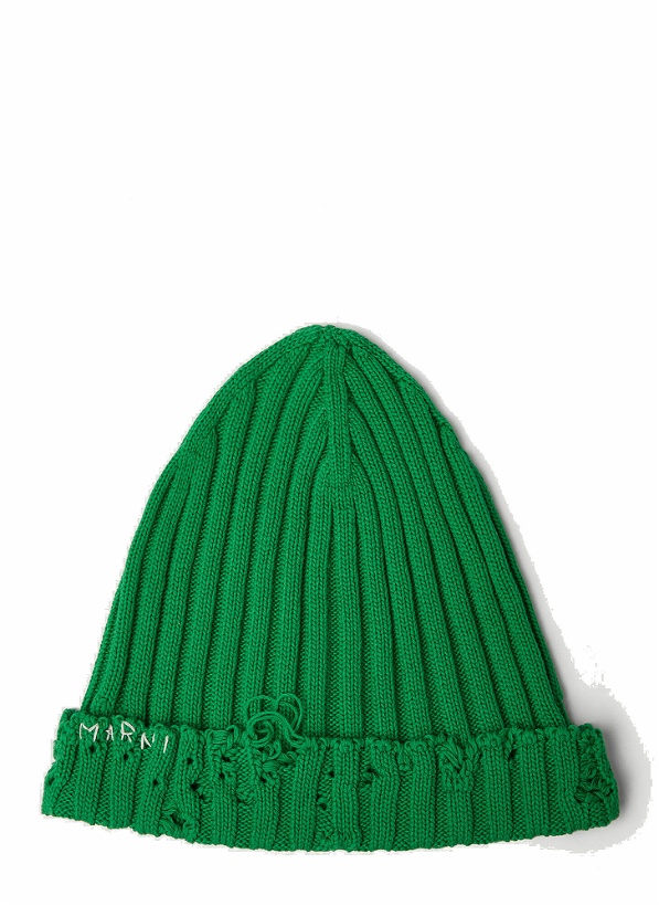 Photo: Destroyed Beanie Hat in Green