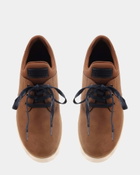 Steve Madden Penta Sneakers in Camel