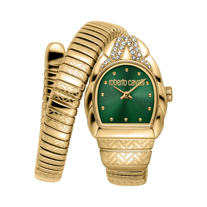 Photo: Roberto Cavalli Aurora Green Dial Ladies Watch RC5L133M0045
