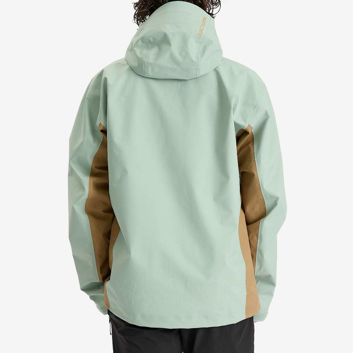 Arc'teryx Men's Beta Gore-Tex Jacket in Trail Magic