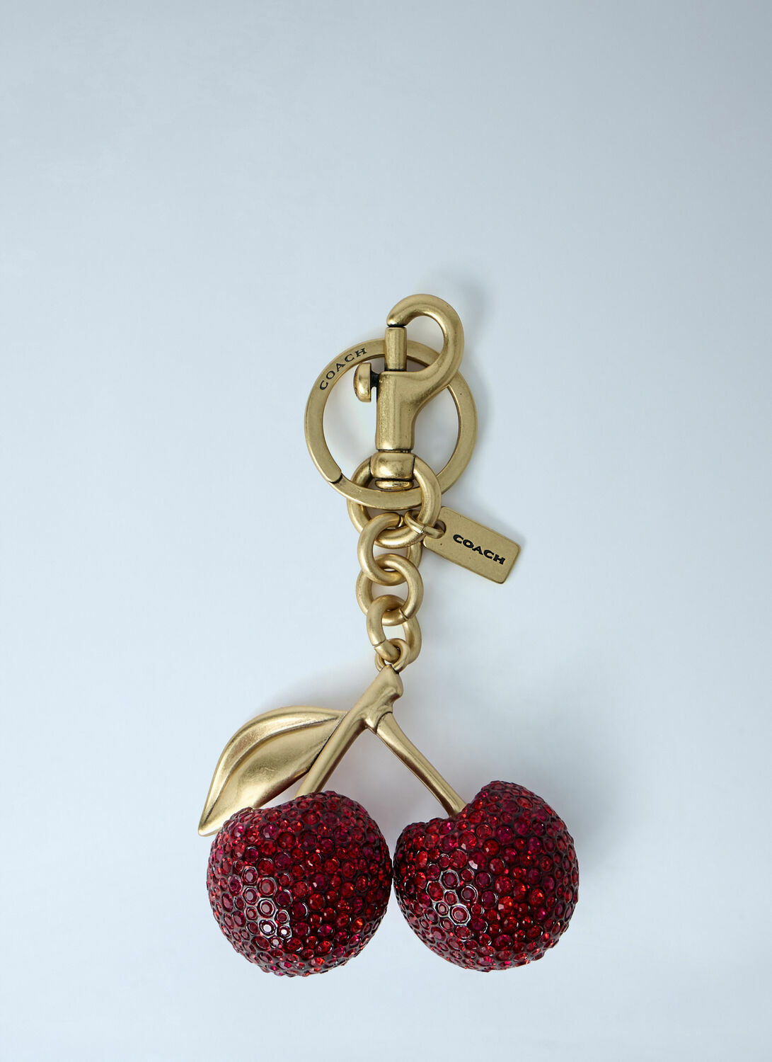 Coach Bag Charm