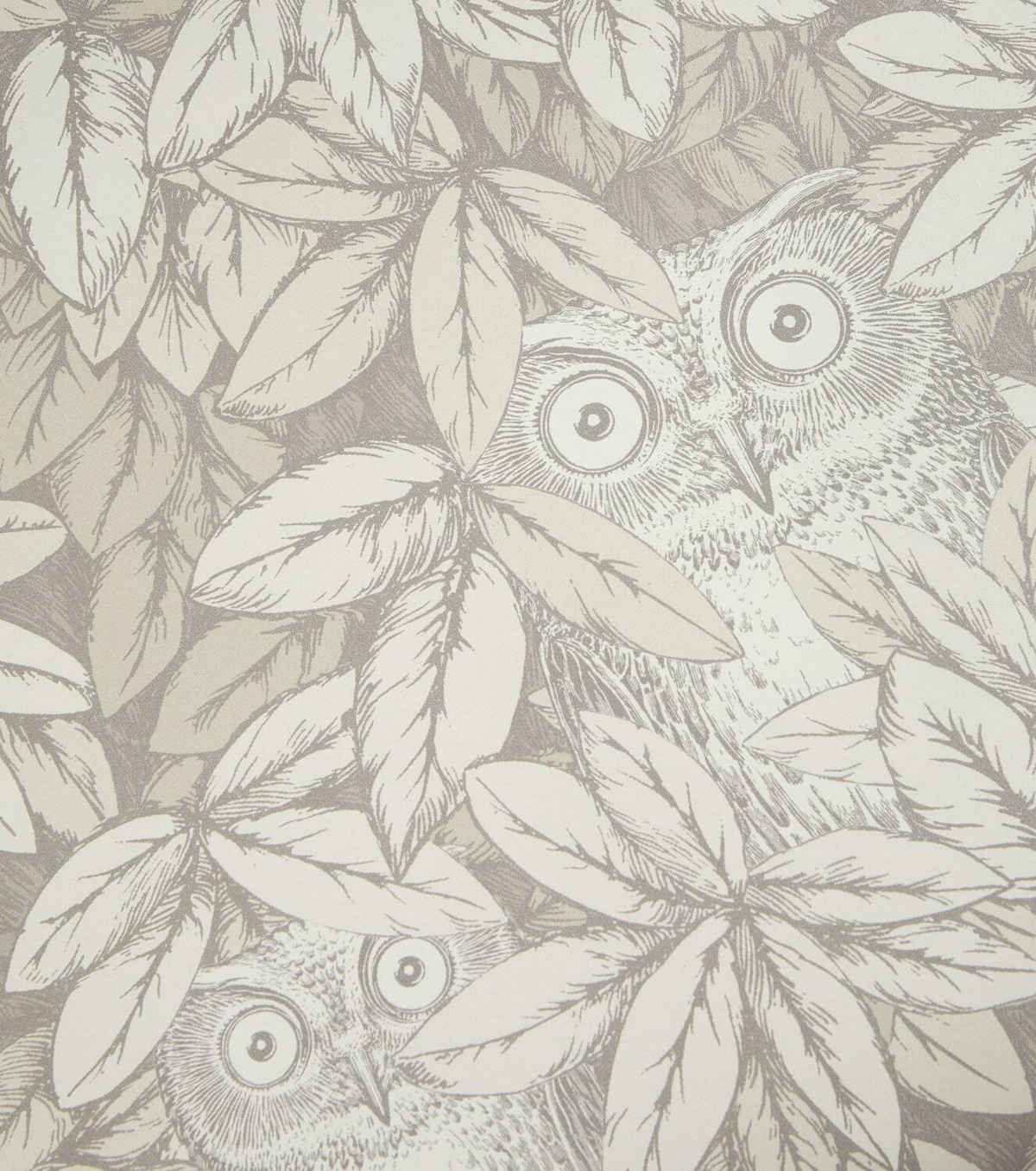 Fornasetti x Cole & Son Foglie e Civette wallpaper