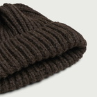 Café Mountain Men's Wool Toque Beanie in Earth