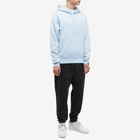 Air Jordan Men's Wordmark Fleece Hoody in Ice Blue/Sail