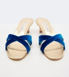Manolo Blahnik Callydramu velvet mules