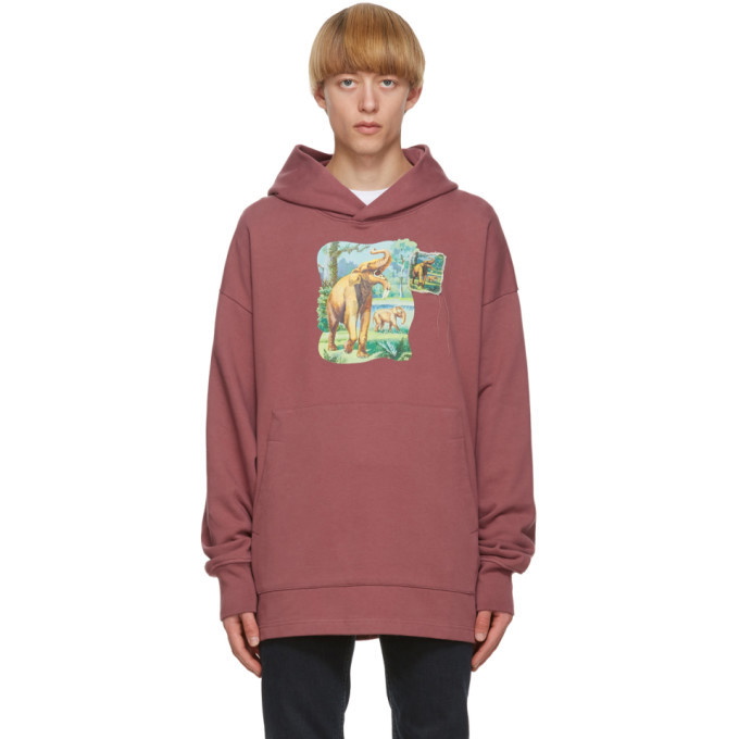 Photo: Acne Studios Pink Dinosaur Print Hoodie