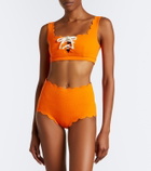 Marysia Palm Springs scalloped bikini top