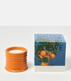 Loewe Home Scents Orange Blossom Small scented candle