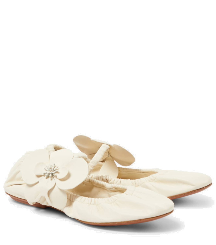 Photo: Zimmermann Orchid leather ballet flats