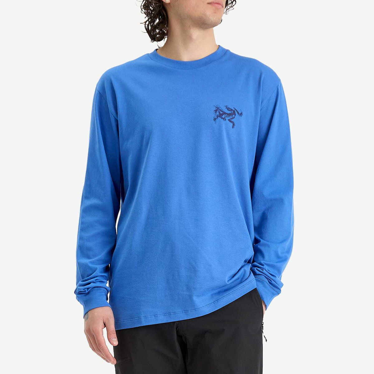 Arc'teryx Men's Kragg SL Cotton Bird Tile Long Sleeve T-Shirt in