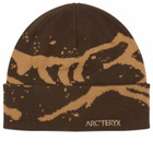 Arc'teryx Men's Grotto Toque in Carob/Canvas 
