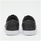 Polo Ralph Lauren Men's Low Top Sneakers in Black
