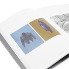Rizzoli Stone Island: Storia Revised & Updated in Eugene Rabki 