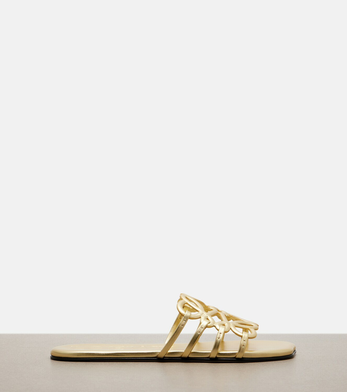 Loewe Paula's Ibiza Petal Anagram leather slides