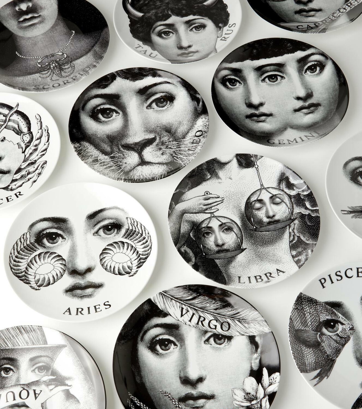 Fornasetti Tema e Variazioni N.349 Taurus wall plate