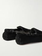 Manolo Blahnik - Kensington Shearling-Lined Suede Slippers - Black