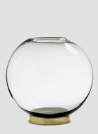 Globe Vase in Transparent