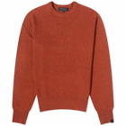 Rag & Bone Men's Harlow Crew Knit in Rust