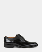 Steve Madden Plakard Dress Shoes in Black