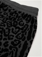 Dolce & Gabbana - Tapered Leopard-Flocked Cotton-Jersey Sweatpants - Black