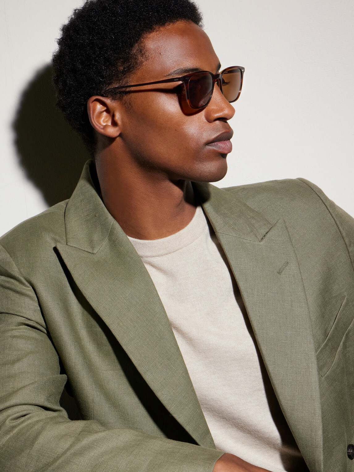 Oliver Peoples - Laedin D-Frame Acetate Sunglasses