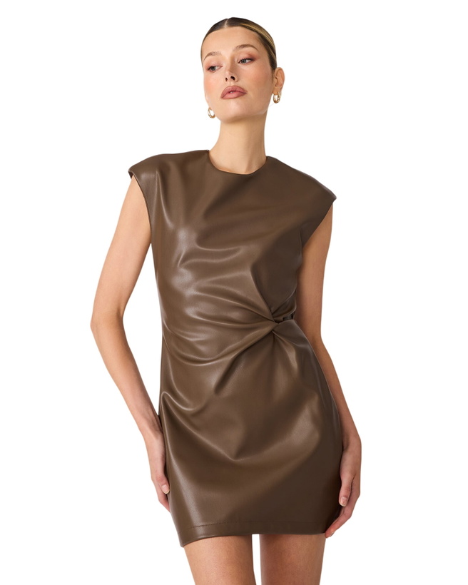 Photo: Steve Madden Chiara Mini Dress in Cocoa