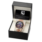 Swan & Edgar World Travel Automatic Mens Watch SE01372