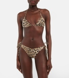 Reina Olga Susan bikini top