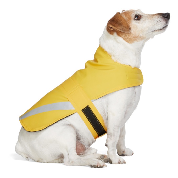 Photo: Stutterheim SSENSE Exclusive Yellow PVC Lightweight Dog Raincoat