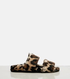 Dolce&Gabbana Leopard-print shearling slides