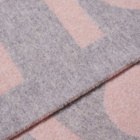 Acne Studios Toronty Logo Scarf in Light Pink/Grey