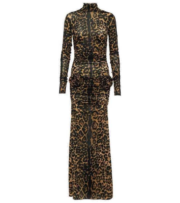 Photo: Blumarine Leopard-print floral-appliqué maxi dress