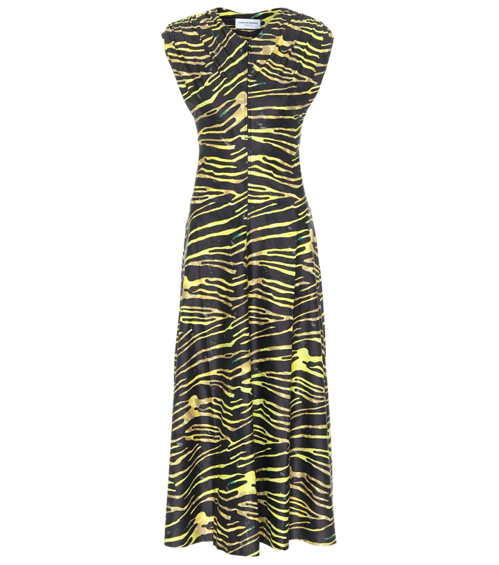 Photo: Marine Serre - Zebra-print jersey maxi dress