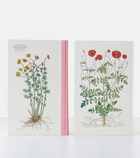Taschen - Leonhart Fuchs: The New Herbal book