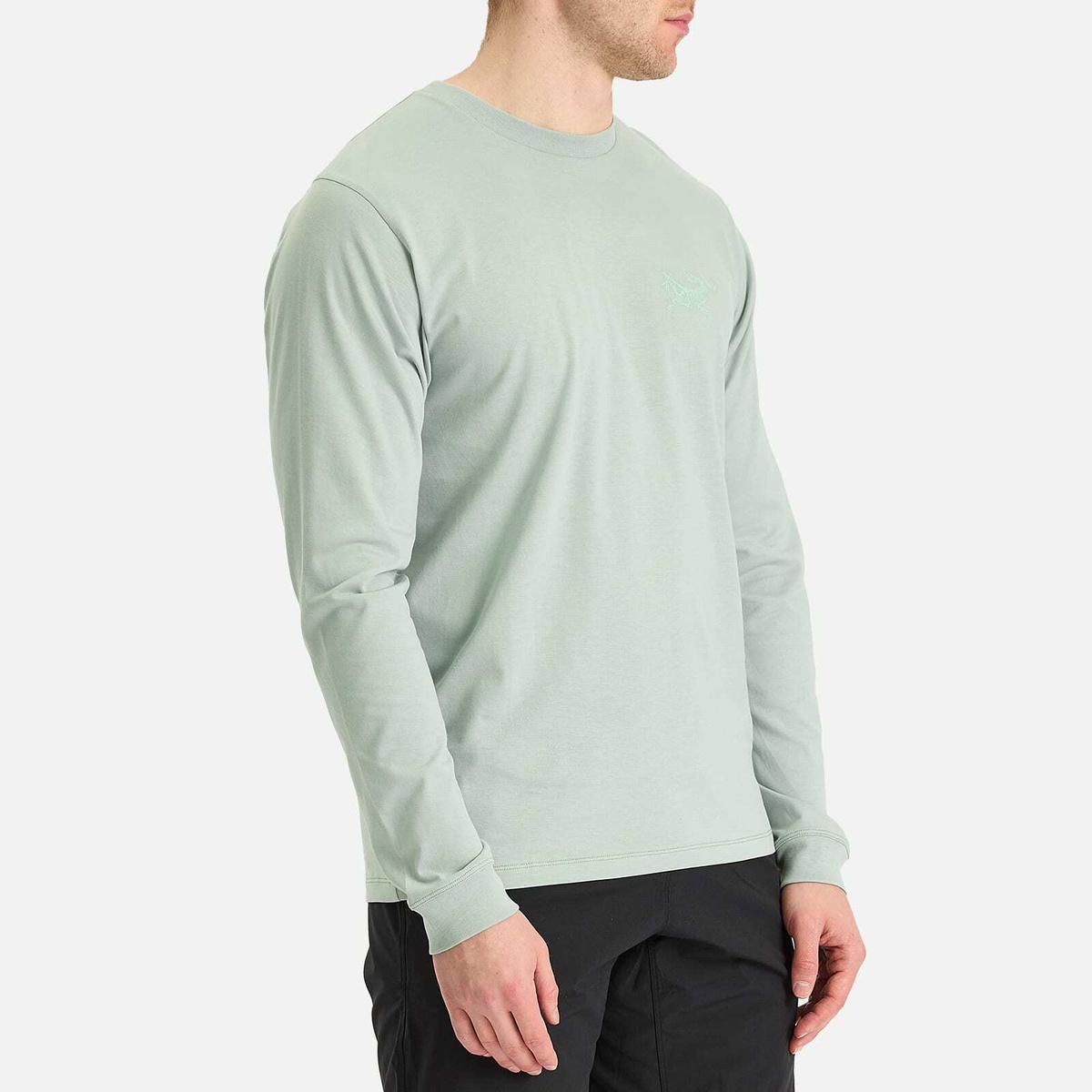 Arc'teryx Men's Kragg SL Cotton Bird Tile Long Sleeve T-Shirt in