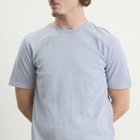 A.P.C. Men's Printemps 26 T-Shirt in Light Blue