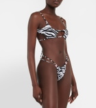 Reina Olga Theresa zebra-print bikini bottoms