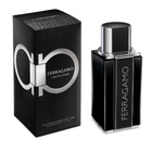 Ferragamo Mens Sublime Leather EDP Spray 3.4 oz Fragrances 8056860214813