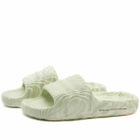 Adidas Adilette 22 in White/Green/Black