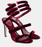 Rene Caovilla Cleo 105 velvet sandals