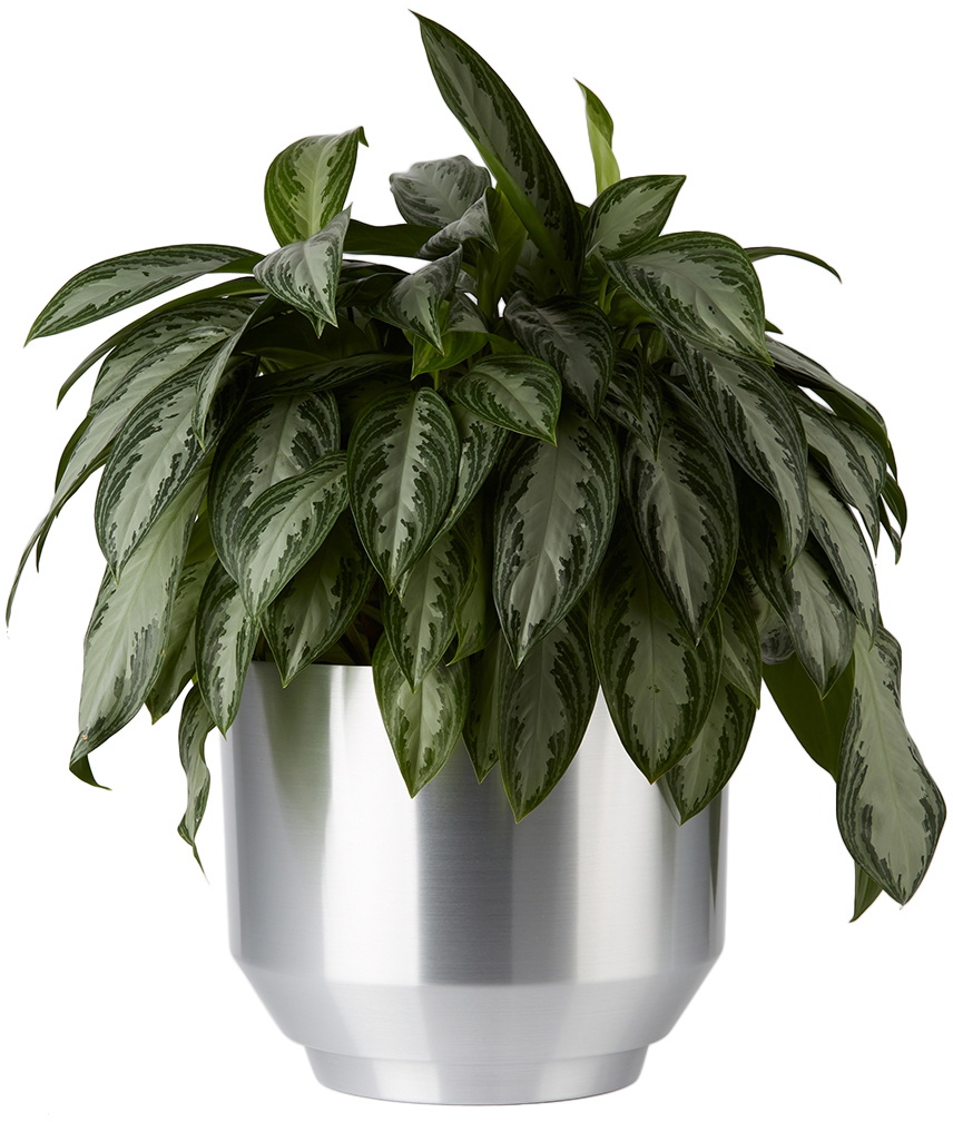YIELD Aluminum 16 Spun Planter