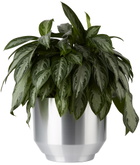 YIELD Aluminum 16 Spun Planter