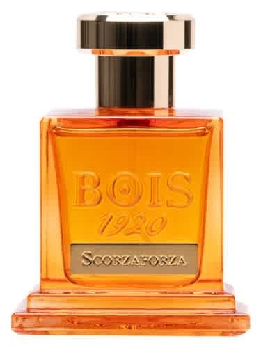 Bois 1920 Unisex Scorzaforza Extrait de Parfum Spray 3.4 oz Fragrances 8055277284518