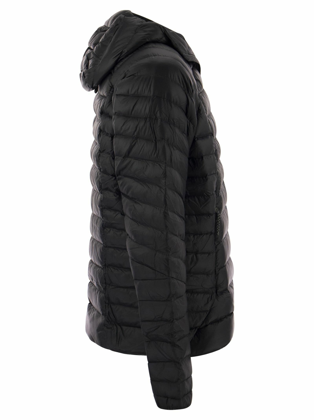 Patagonia Hooded Down Jacket
